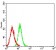 LRP8 Primary Antibody MP31563 [M6F6B6]