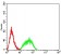 CD213A1 Primary Antibody  MP31567 [M8A3E3]