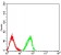 CD18 Primary Antibody MP31570 [M3C11G5]