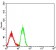 CD18 Primary Antibody MP31571 [M3D1B3]