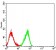 CD344 Primary Antibody MP31572 [M2F3A7]