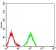 B7H4 Primary Antibody  MP31573  [M3A9C12]