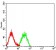 B7H4 Primary Antibody MP31574 [M6A5G2]