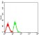 CD370 Primary Antibody MP31575 [M5C7A7]