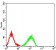 LRP12 Primary Antibody  MP31577  [M4E11C5]