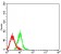 CD208 Primary Antibody MP31578  [M7E12C5]