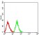 CD43 Primary Antibody  MP31582  [M1H8B10]