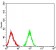 CD177 Primary Antibody MP31584 [M2F2C1]