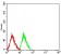 CD177 Primary Antibody MP31585  [M2F2C5]
