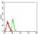 CD170 Primary Antibody  MP31588 [M3F5A3]