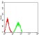 CD132 Primary Antibody MP31597 [M4A8E5]