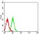 CD172G Primary Antibody MP31600  [M7H3A2]