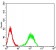 CD156 Primary Antibody  MP31602  [M2C1F3]