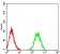 CD156 Primary Antibody  MP31603 [M3B10D7]