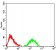 ATXN1 Primary Antibody [M4C7B11]