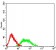 CD192 Primary Antibody MP31609  [M3B6B1]