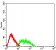 CD307C Primary Antibody  MP31610 [M4D7B9]