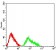 CD307C Primary Antibody  MP31611 [M4B4B2]