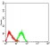 CD248 Primary Antibody MP31613  [M1H11A10]