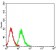 CD101 Primary Antibody MP31617  [M9A8B9]