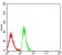 CD179A Primary Antibody MP31629  [M5F8F3]