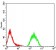 KAT2B Primary Antibody MP31630  [M7D12C8]