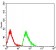 CD368 Primary Antibody  MP31634  [M6E4B1]