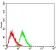 CD368 Primary Antibody  MP31635  [M6E4H3]