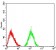 LRP4 Primary Antibody  MP31636 [M7A12B4]