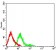 CD174 Primary Antibody MP31638  [M1F8G5C7]