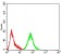 SATB2 Primary Antibody  MP31641 [M7B2E11]