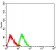 RBFOX2 Primary Antibody MP31645  [M1E7G10]