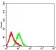 CD307A Primary Antibody  MP31648 [M4E9B9]
