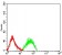 CD307E Primary Antibody MP31649  [M2A10H7]