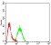 KMT2C Primary Antibody MP31663  [M7D5D7]
