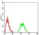 CD130 Primary Antibody MP31686  [M8D4C5]