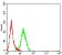 MAP3K14 Primary Antibody  MP31697 [M2G2B4]