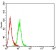 FADD Primary Antibody   MP31698 [M5A6A2]