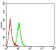 TRADD Primary Antibody  MP31699  [M3A1E8]