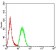 KMT5A Primary Antibody MP31701 [M5E10F7]