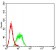 CD315 Primary Antibody MP31708  [M4E9G7]