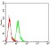 ATG10 Primary Antibody   MP31729 [M8A9B3]