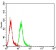 CASP6 mouse mab MP31730 [M3B7E10]