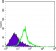 WNT1 Primary Antibody MP20378 [M10C8]