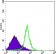 ITGA5 Primary Antibody MP20411 [M10F6]