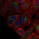c-Jun Primary Antibody MP30254 [M4H9]