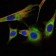 PHB Primary Antibody MP30264 [M5H7]
