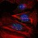 MAP3K2 Primary Antibody MP30273 [M4B4]