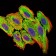 CCL2 Primary Antibody MP30351 [M2D8]