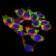 LPA Primary Antibody MP30380 [M4H1]